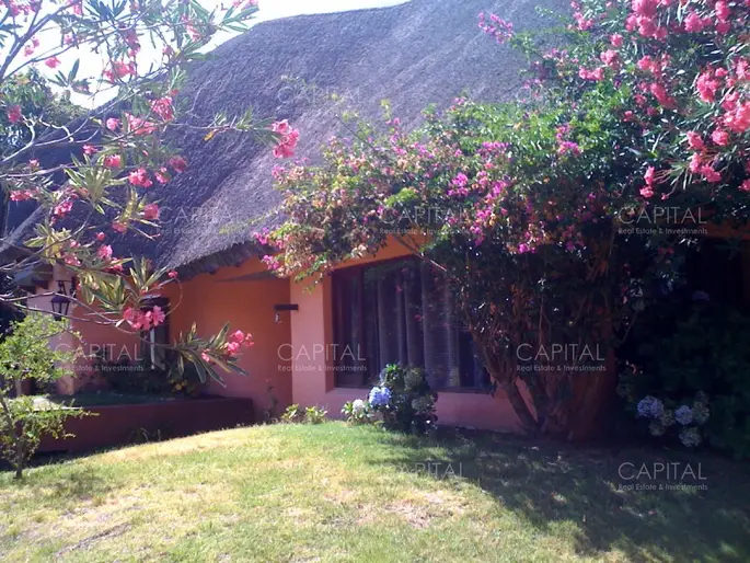 Muy linda casa de 3 dormitorios en La Barra