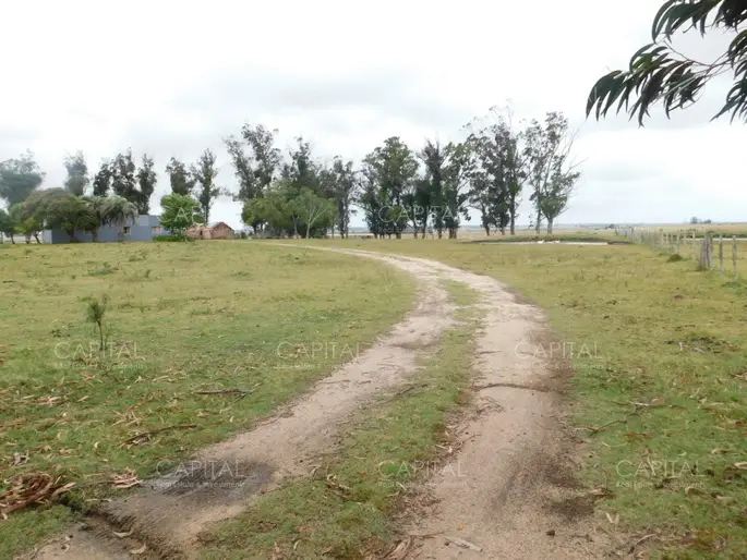 Chacra en Ruta 9, Próximo a Garzón