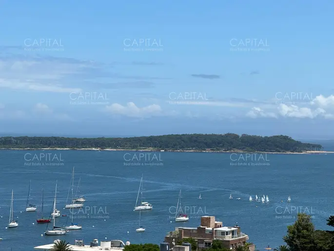 Apartamento en Peninsula de 1 dormitorio y medio