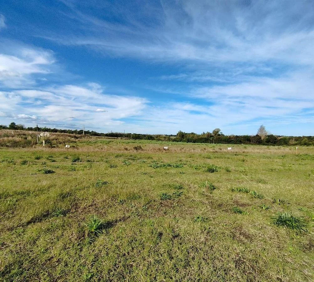 Terreno en Colonia Valdense, propiedad 255688 -Imagen 5