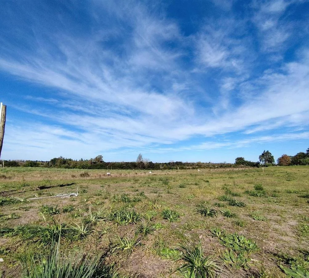 Terreno en Colonia Valdense, propiedad 255688 -Imagen 9