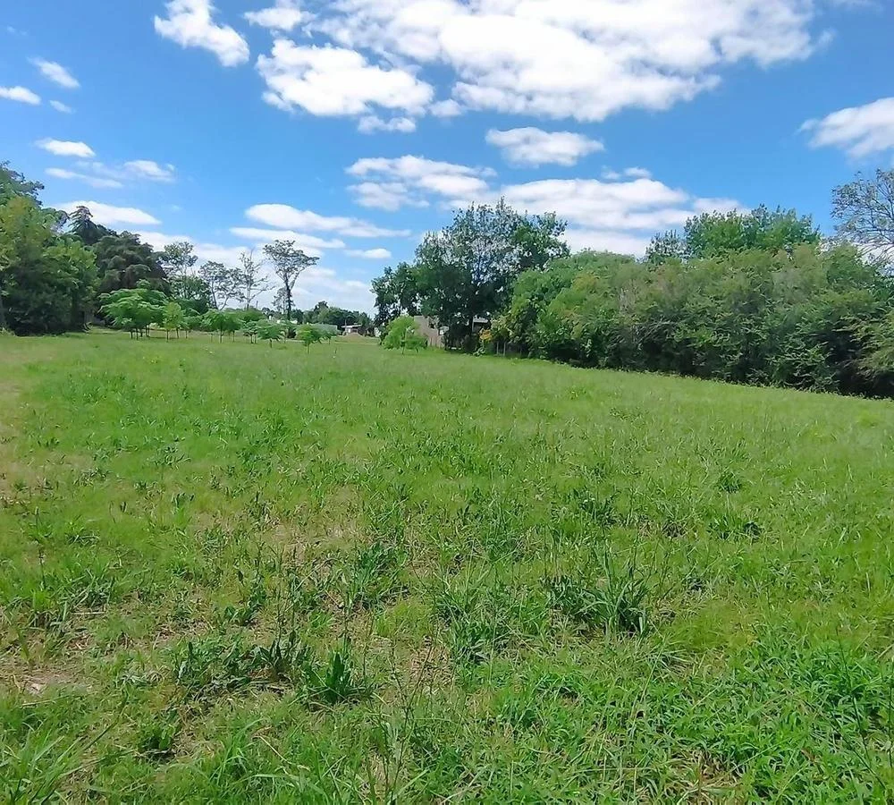 Terreno en Colonia Valdense, propiedad 255689 -Imagen 2
