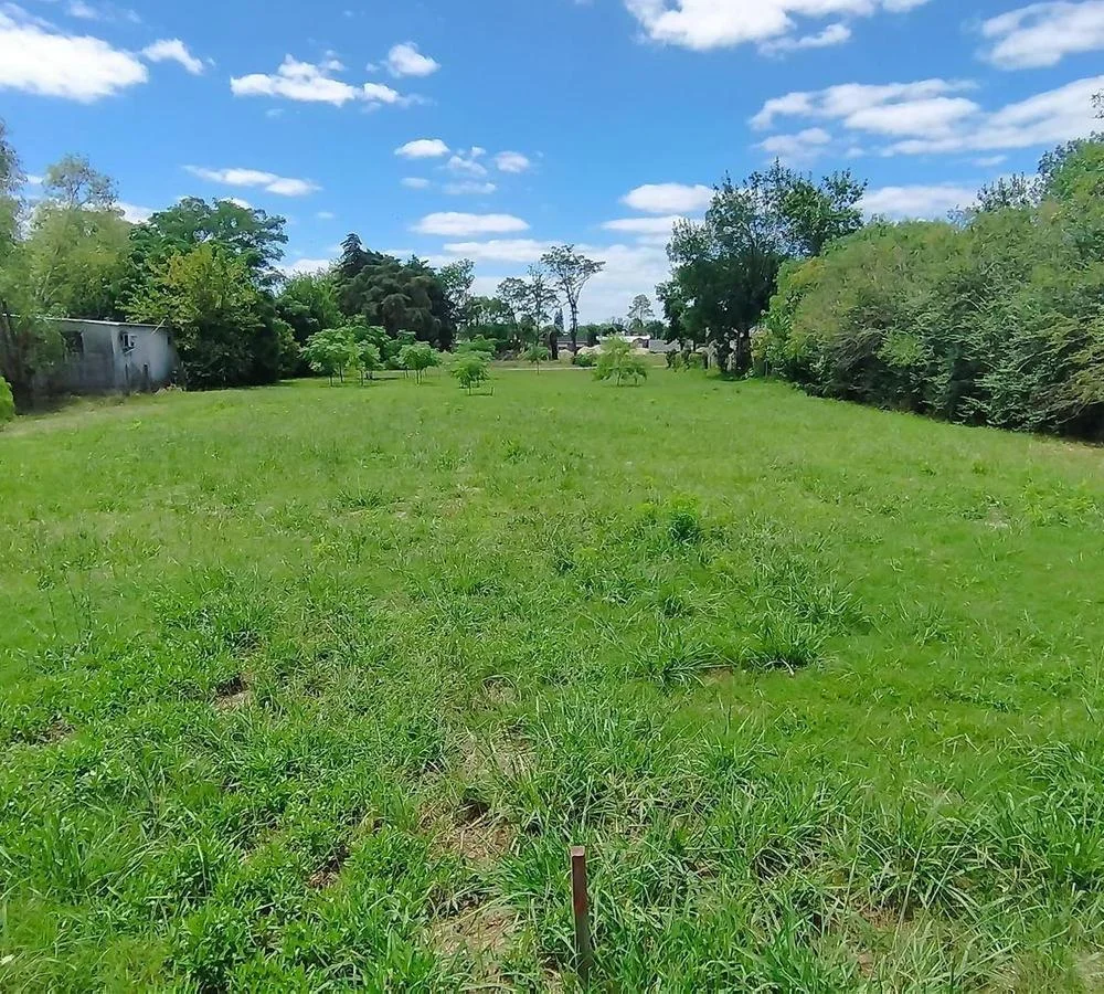 Terreno en Colonia Valdense, propiedad 255689 -Imagen 4