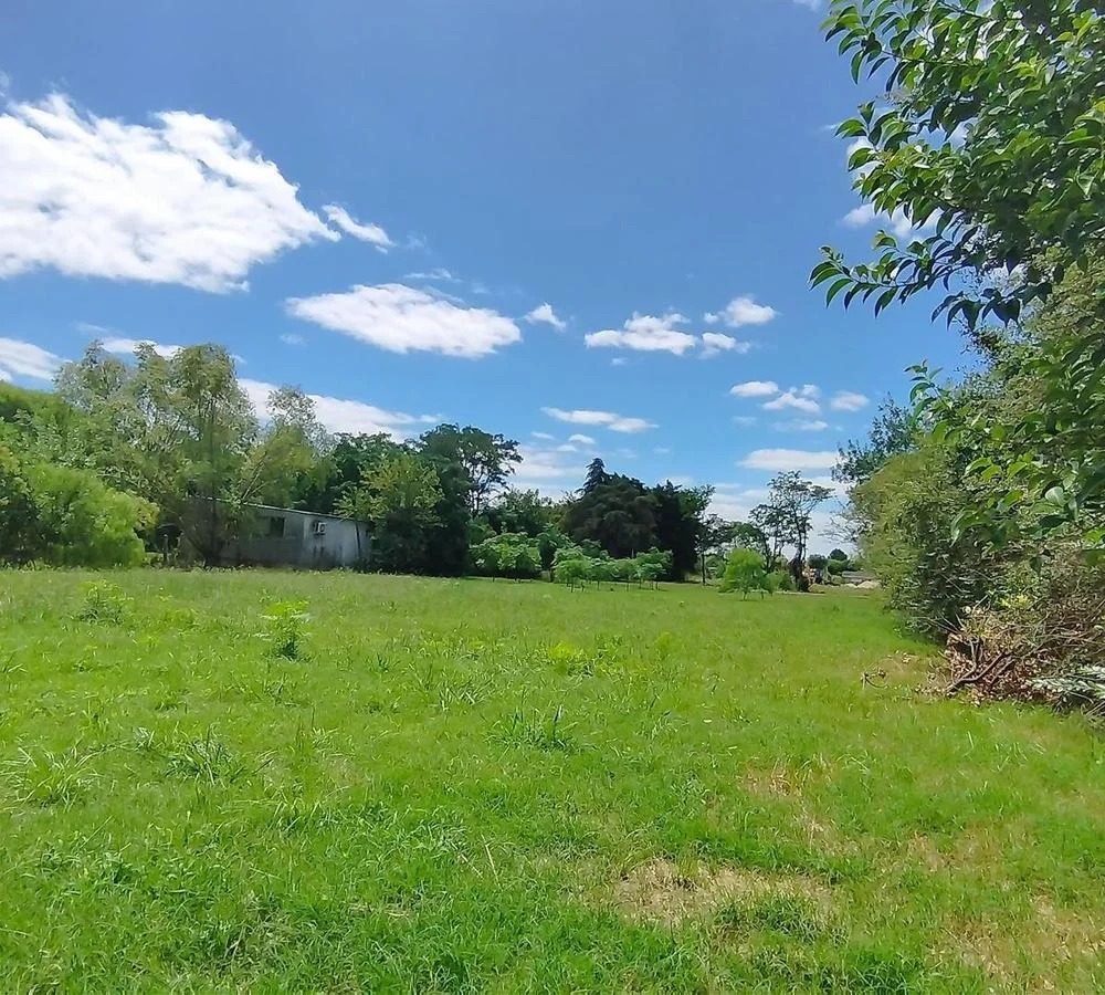 Terreno en Colonia Valdense, propiedad 255689 -Imagen 5