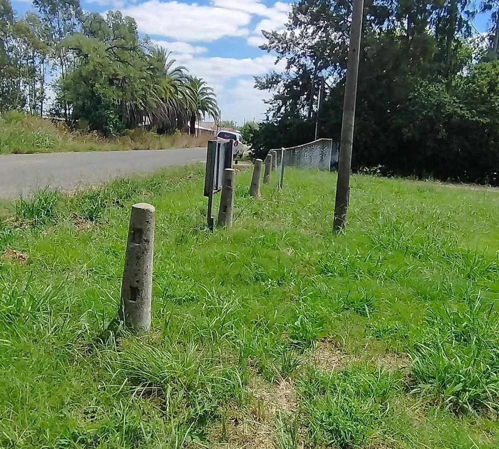 Terreno en Colonia Valdense, propiedad 255689 -Imagen 6