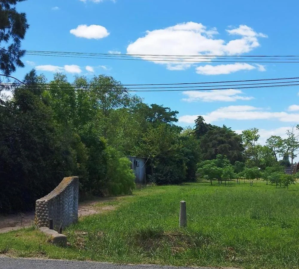 Terreno en Colonia Valdense, propiedad 255689 -Imagen 8