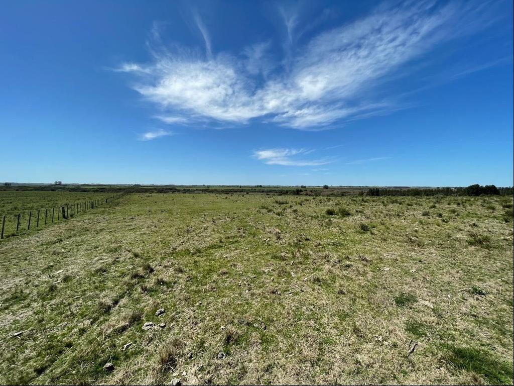 Chacra en San Carlos, propiedad 255708 -Imagen 1