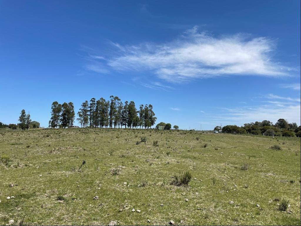 Chacra en San Carlos, propiedad 255708 -Imagen 3