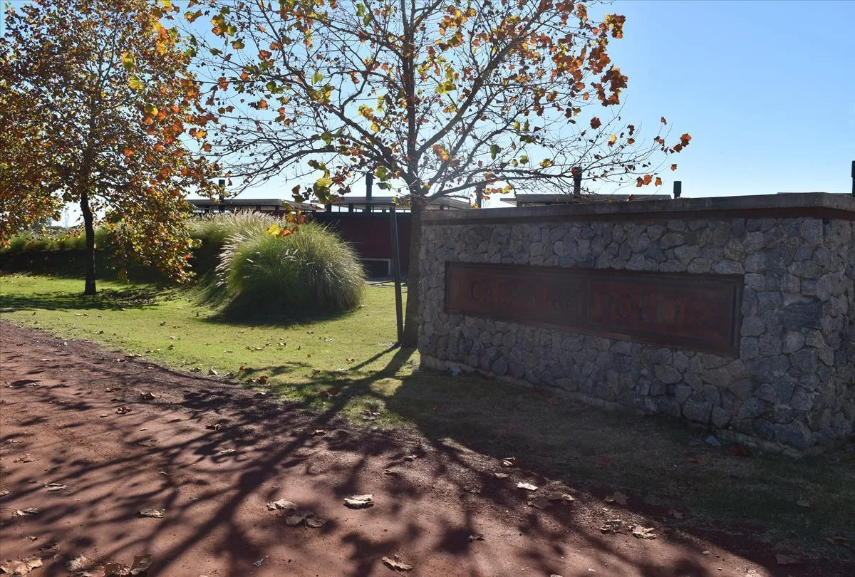 Terreno en Carmelo, propiedad 255719 -Imagen 6
