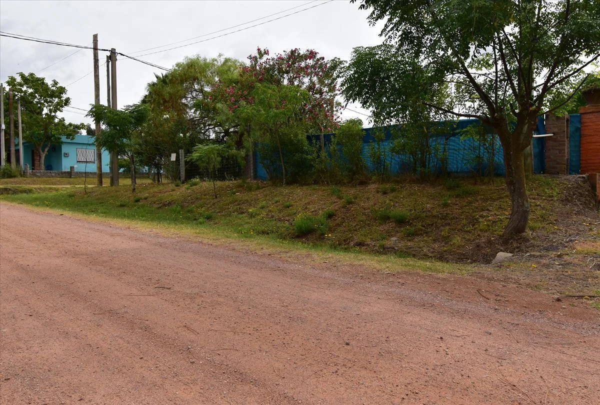 Terreno en Los Pinos, propiedad 255745 -Imagen 4