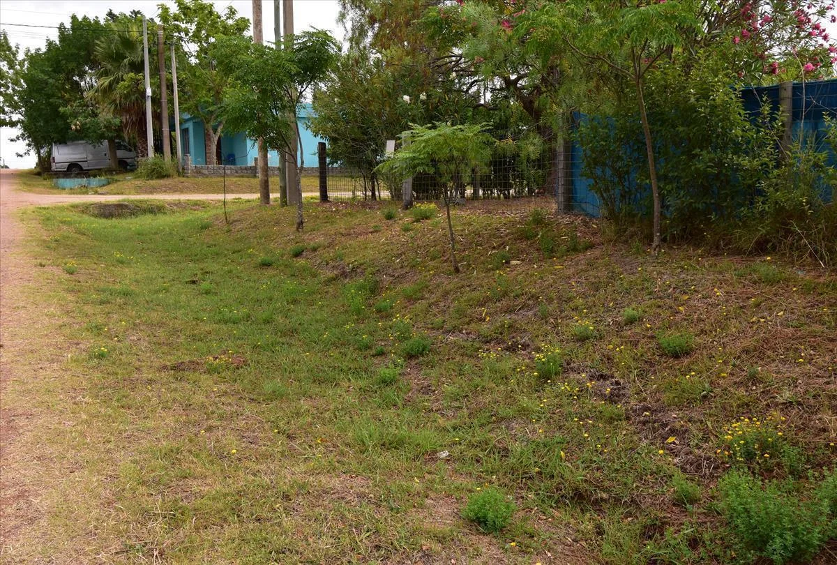 Terreno en Los Pinos, propiedad 255745 -Imagen 5
