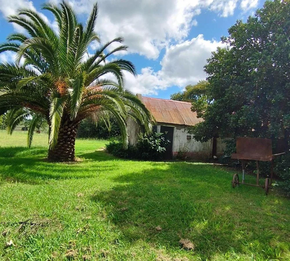 Quinta en Nueva Helvecia, propiedad 255747 -Imagen 11