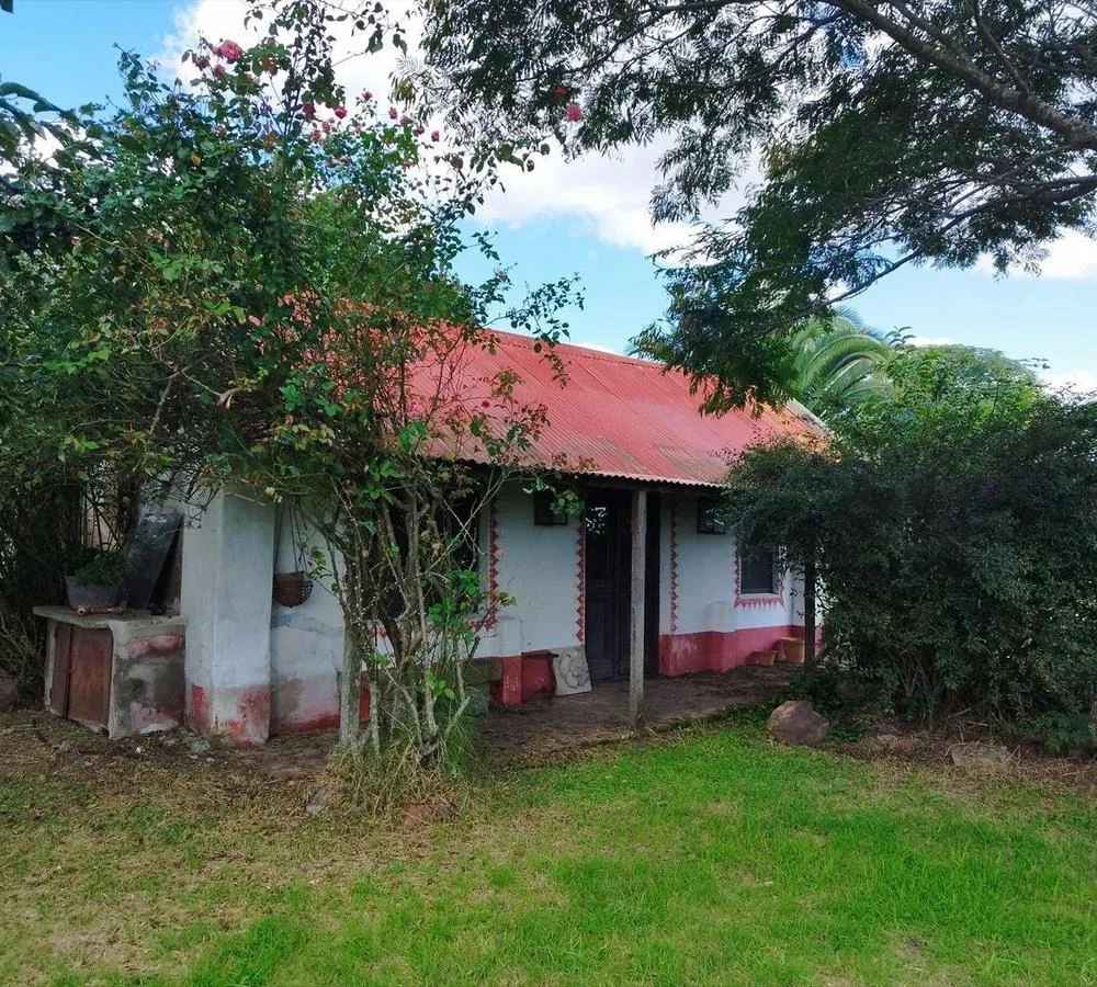 Quinta en Nueva Helvecia, propiedad 255747 -Imagen 4
