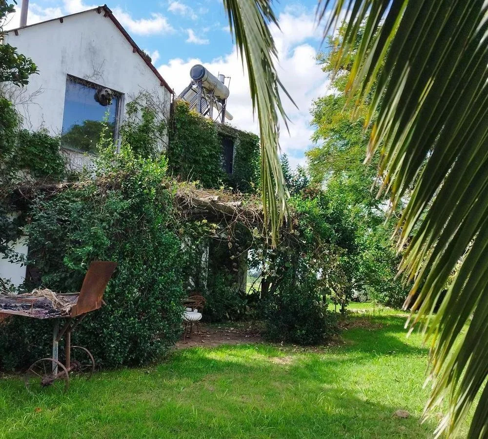 Quinta en Nueva Helvecia, propiedad 255747 -Imagen 5