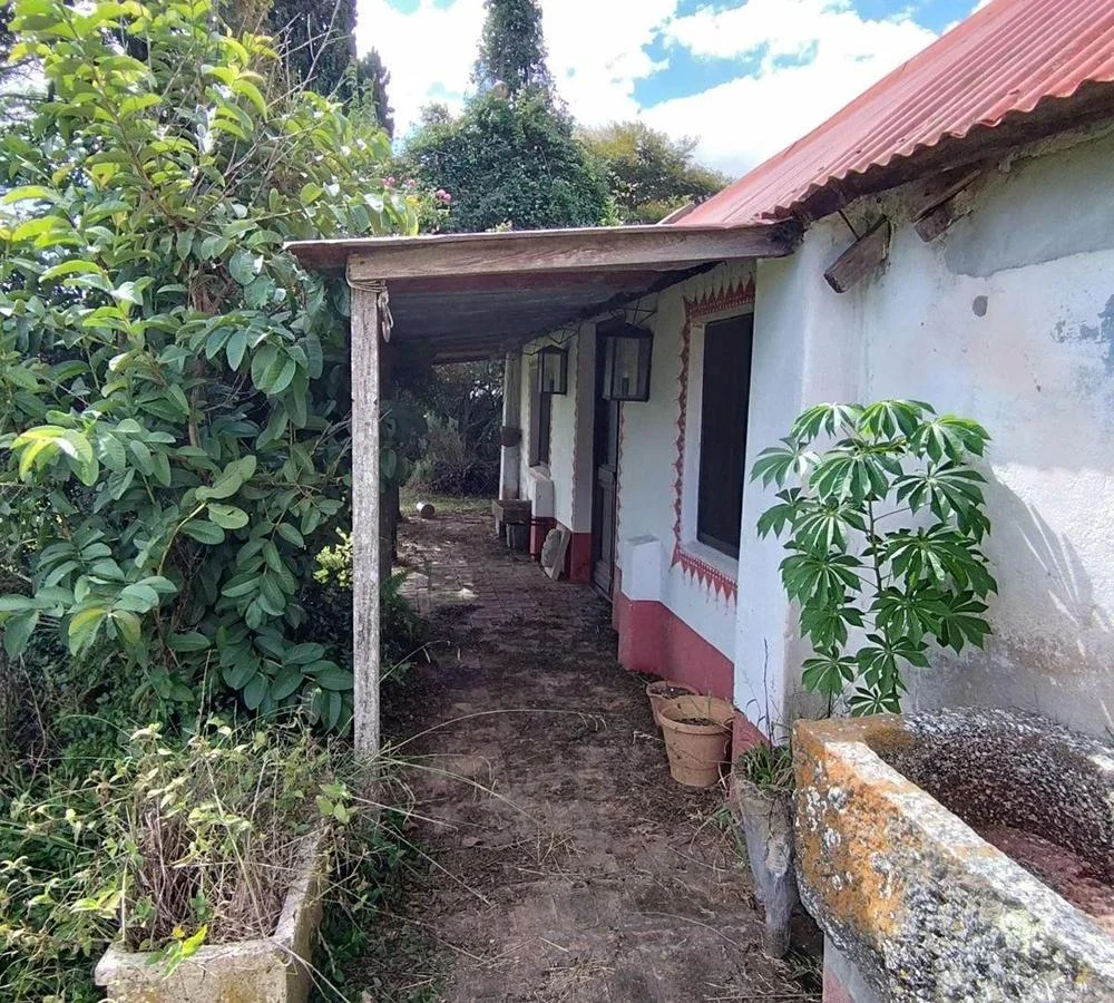 Quinta en Nueva Helvecia, propiedad 255747 -Imagen 7