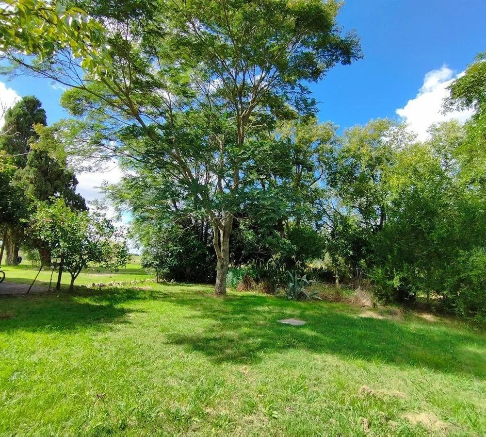 Quinta en Nueva Helvecia, propiedad 255747 -Imagen 8