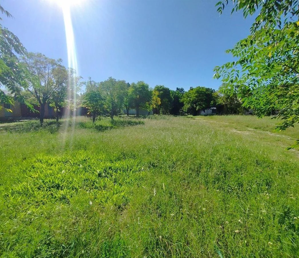 Terreno en Los Pinos, propiedad 255757 -Imagen 2