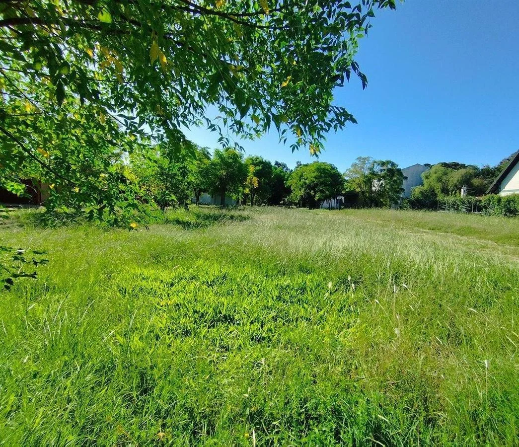 Terreno en Los Pinos, propiedad 255757 -Imagen 3