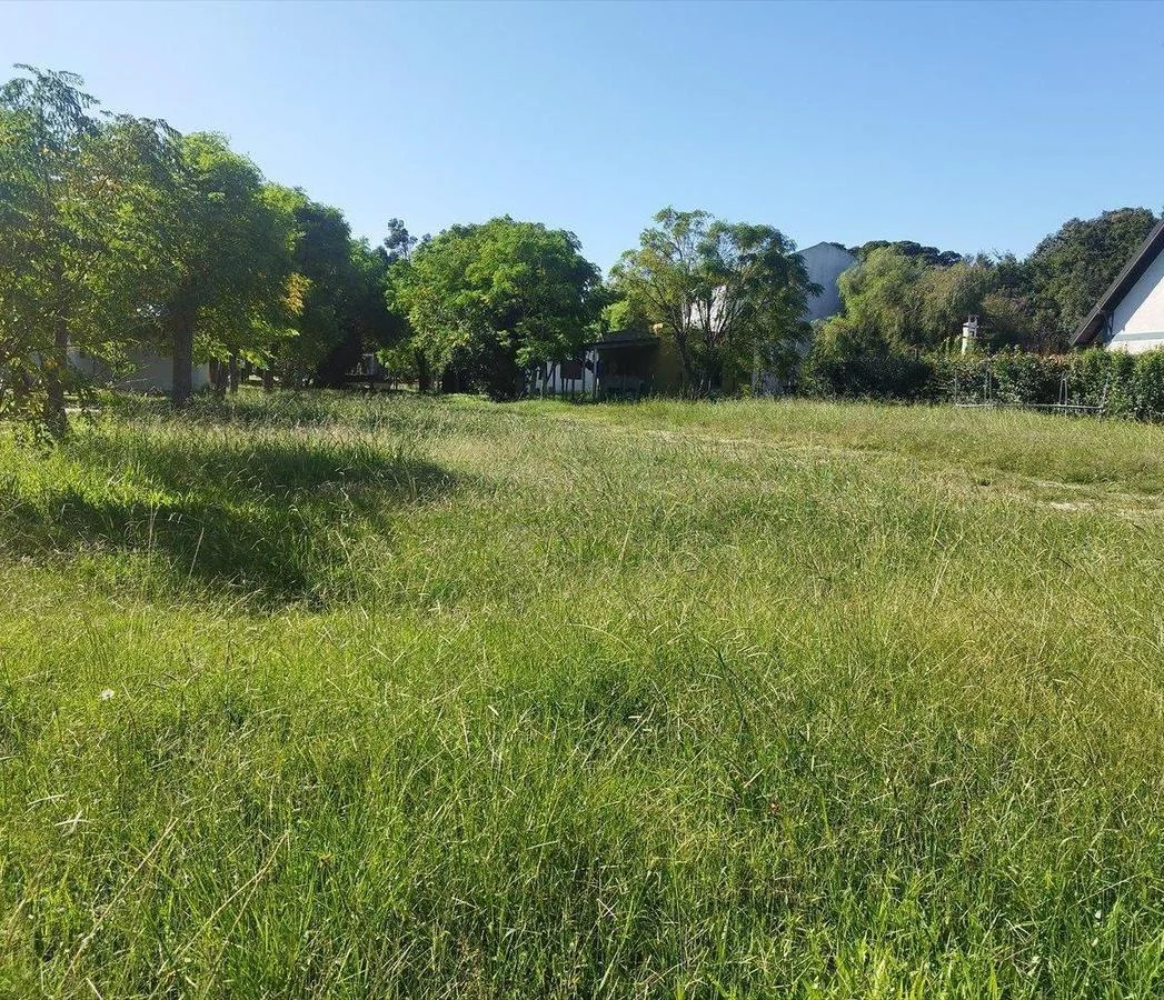 Terreno en Los Pinos, propiedad 255757 -Imagen 4