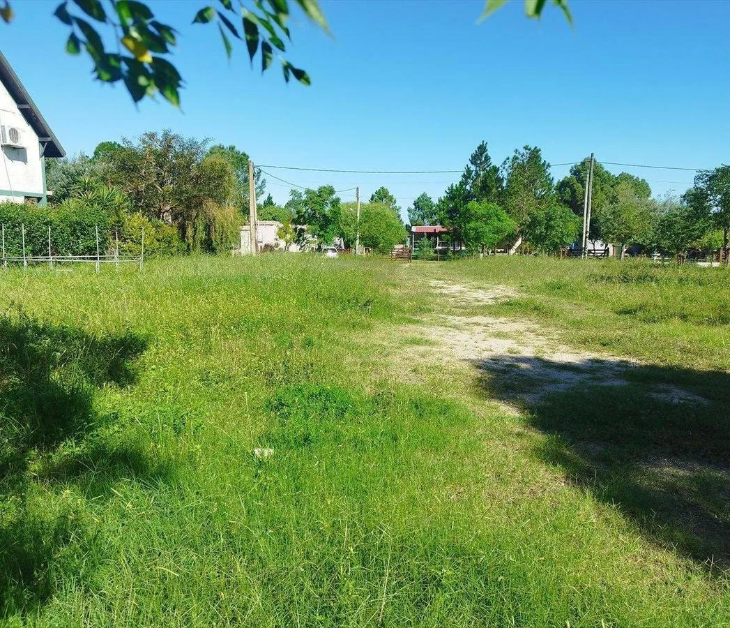 Terreno en Los Pinos, propiedad 255757 -Imagen 5