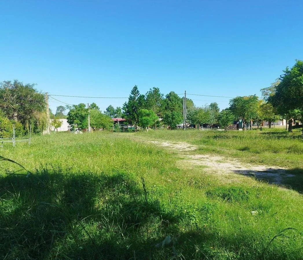 Terreno en Los Pinos, propiedad 255757 -Imagen 6