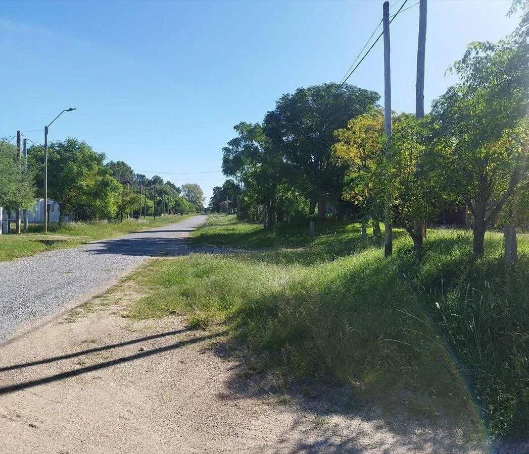 Terreno en Los Pinos, propiedad 255757 -Imagen 7