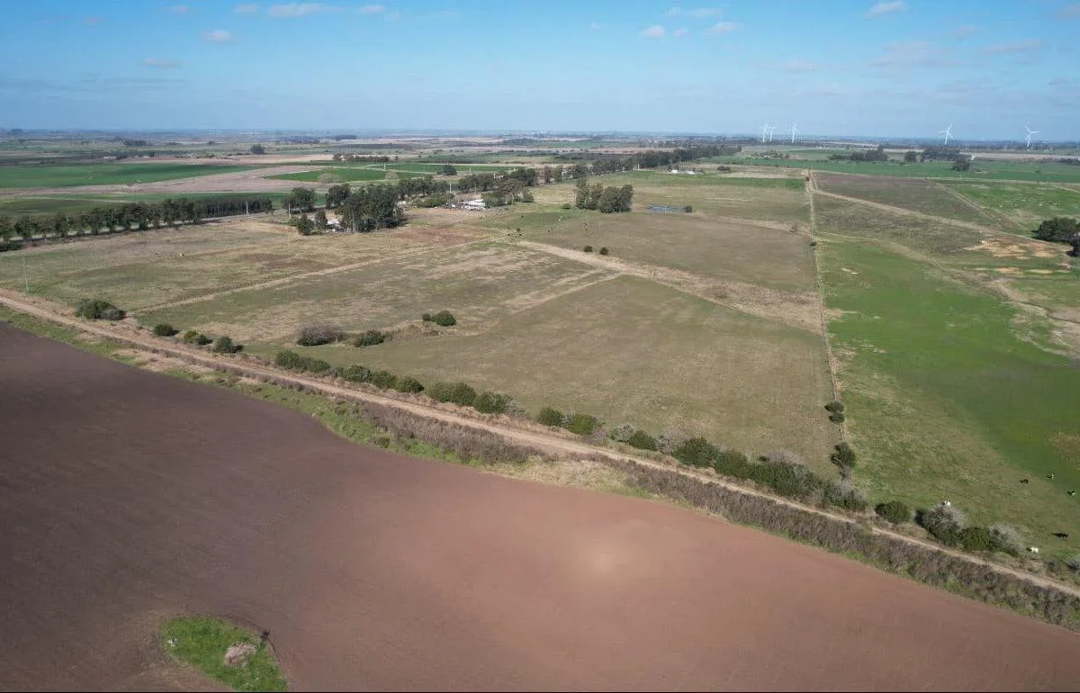 Chacra en Rosario, propiedad 255767 -Imagen 10