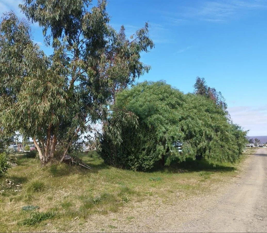 Terreno en Playa Azul, propiedad 255773 -Imagen 2