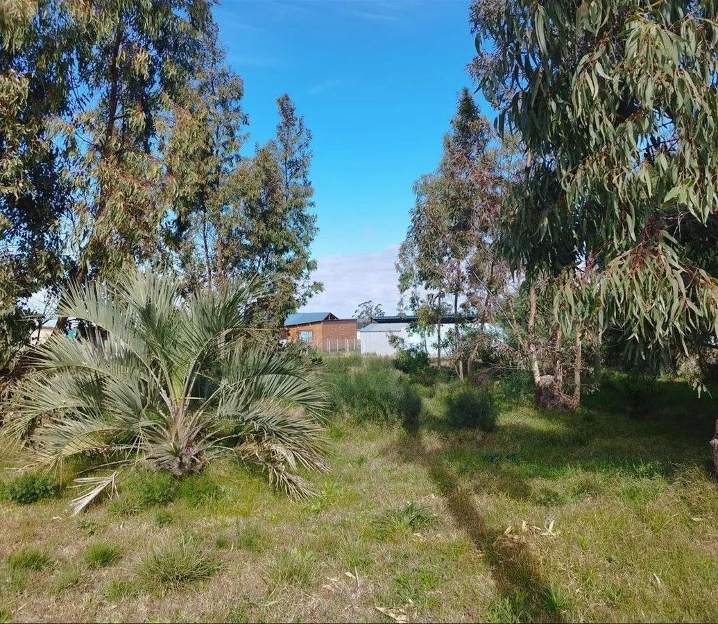 Terreno en Playa Azul, propiedad 255773 -Imagen 3