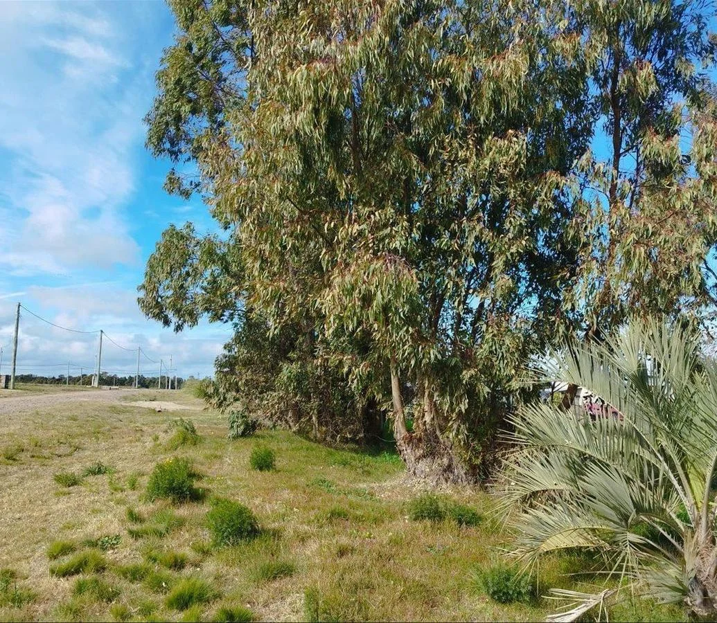 Terreno en Playa Azul, propiedad 255773 -Imagen 4