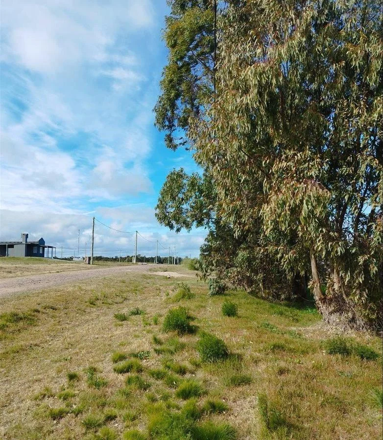 Terreno en Playa Azul, propiedad 255773 -Imagen 5
