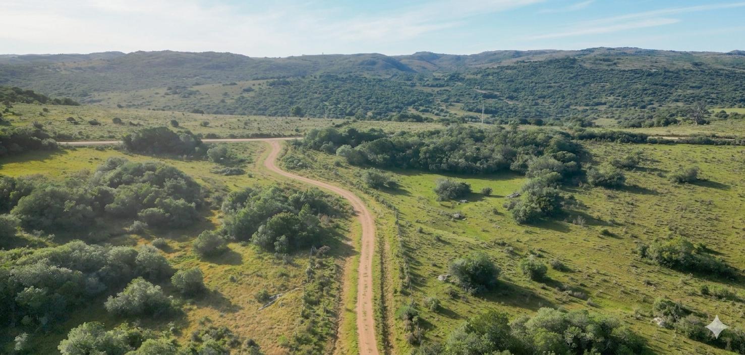 Chacra en Aigua, propiedad 256602 -Imagen 1
