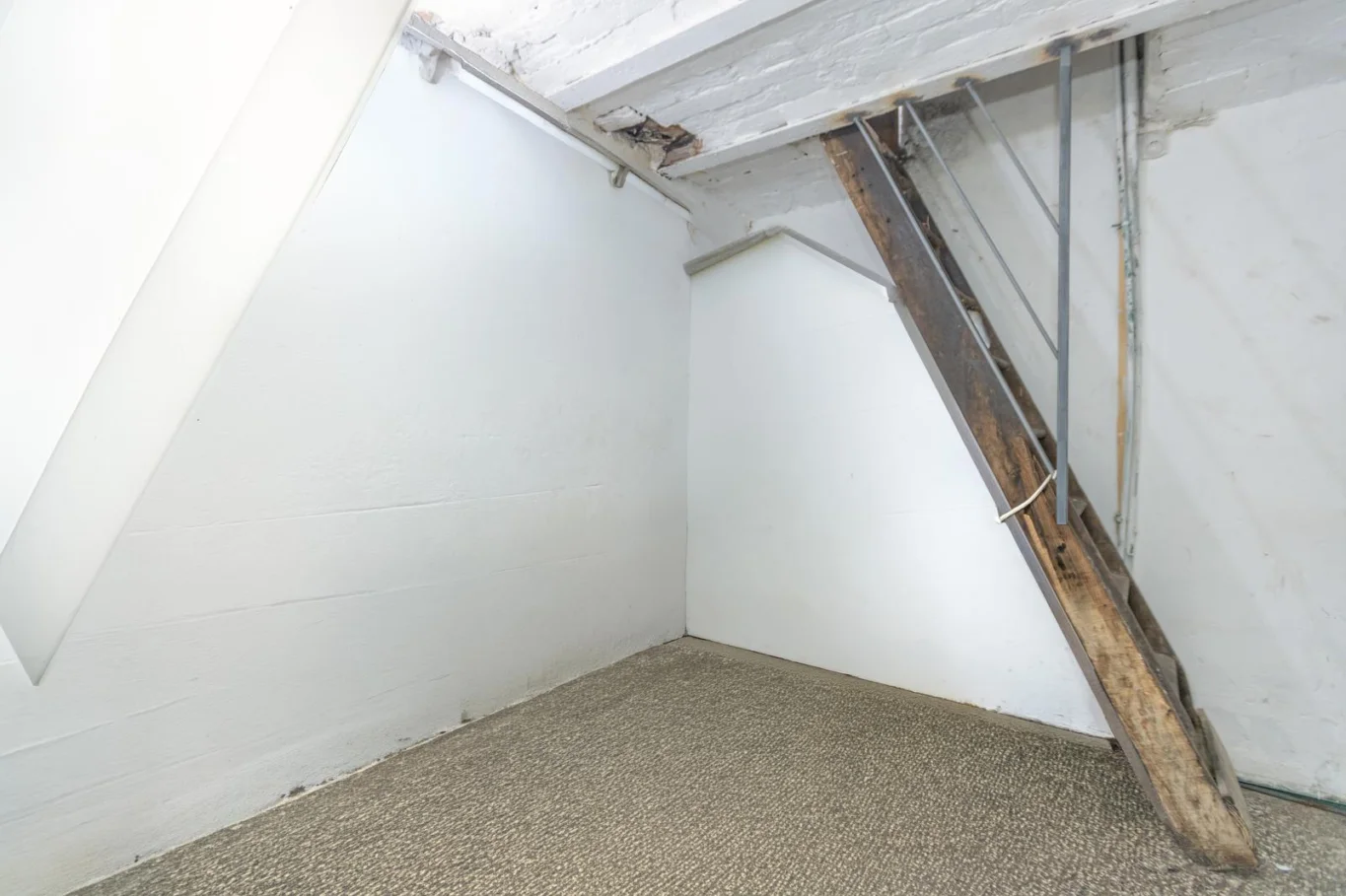 Local en Puerto, propiedad 257259 -Imagen 19