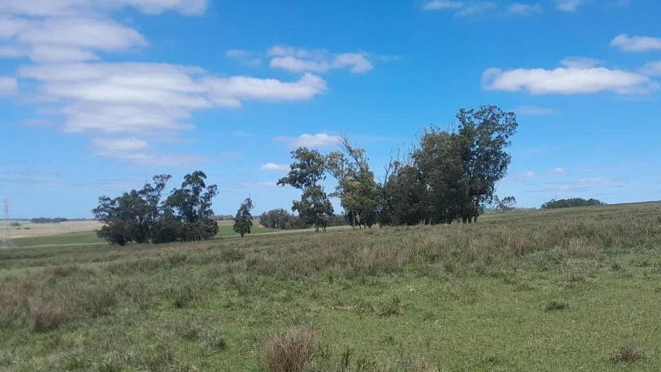 Campo en José Ignacio, propiedad 258744 -Imagen 2