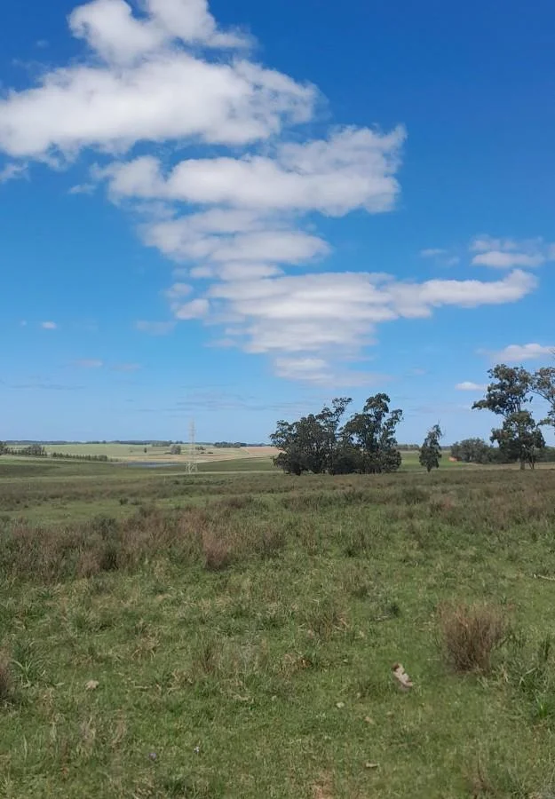 Campo en José Ignacio, propiedad 258744 -Imagen 3