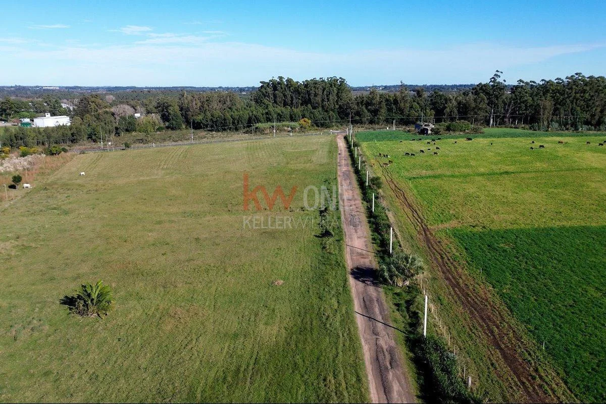 Chacra en Suárez, propiedad 258763 -Imagen 4