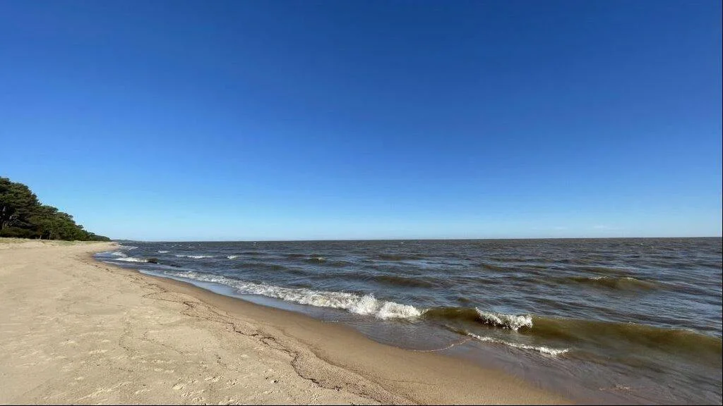 Terreno en Playa Azul, propiedad 258768 -Imagen 6