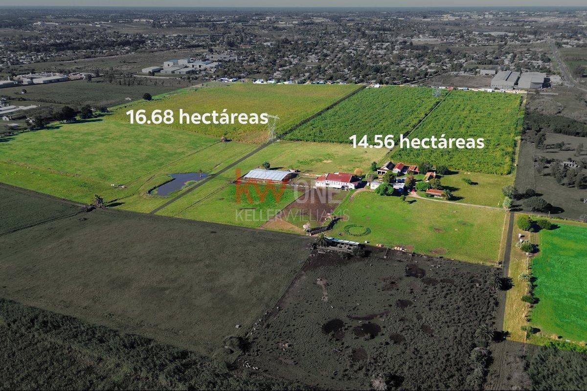 Chacra en Suárez, propiedad 258806 -Imagen 1