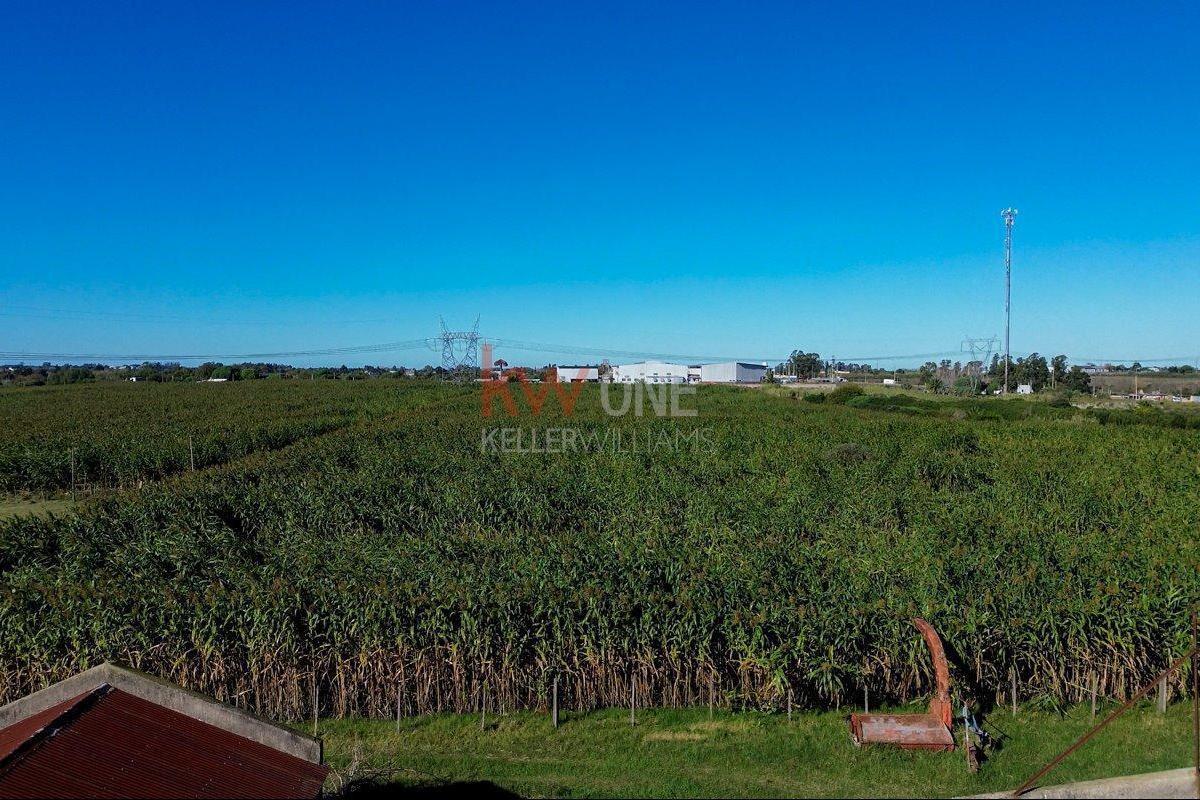 Chacra en Suárez, propiedad 258806 -Imagen 9