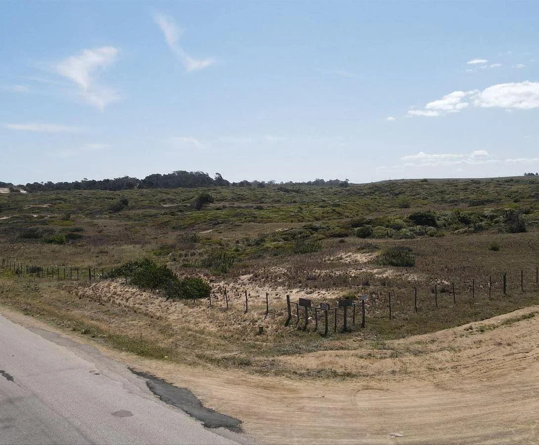 Chacra en Península, propiedad 258837 -Imagen 8