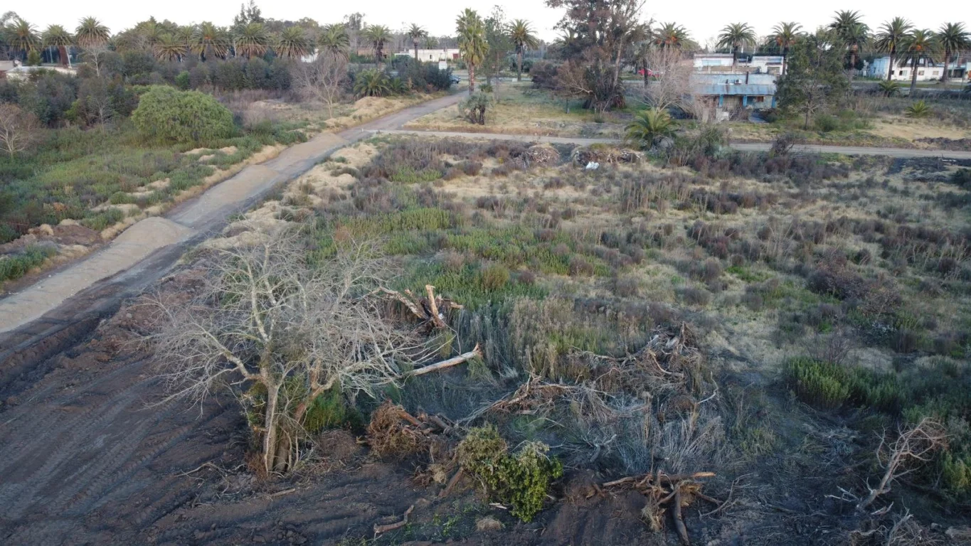 Terreno en Riachuelo, propiedad 258862 -Imagen 15