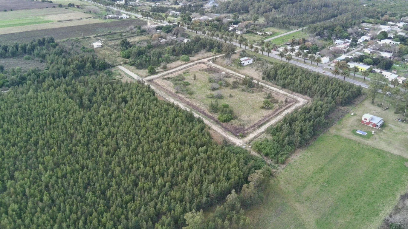 Terreno en Riachuelo, propiedad 258862 -Imagen 4