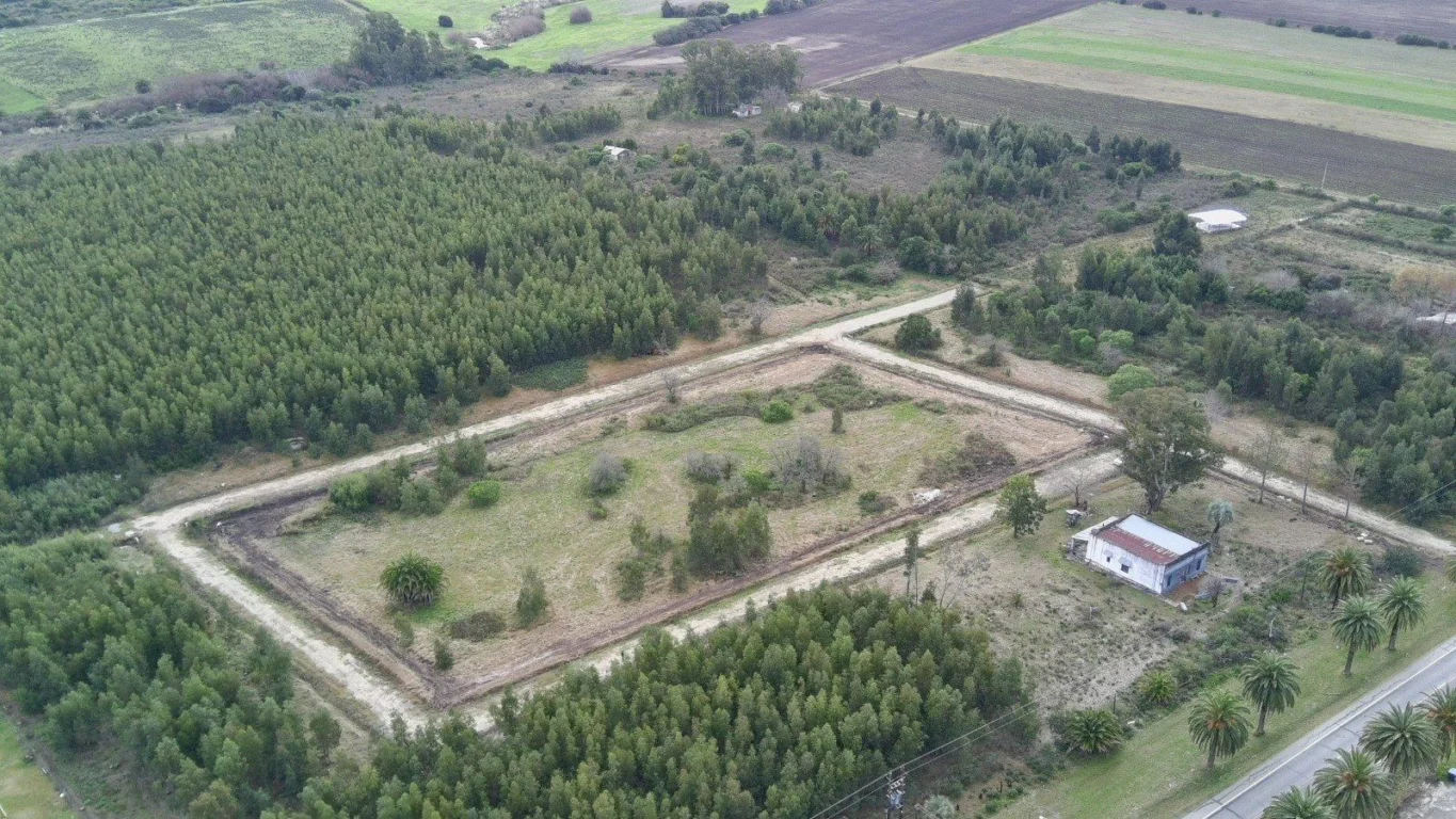 Terreno en Riachuelo, propiedad 258862 -Imagen 5