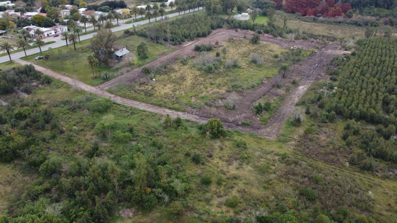 Terreno en Riachuelo, propiedad 258862 -Imagen 6