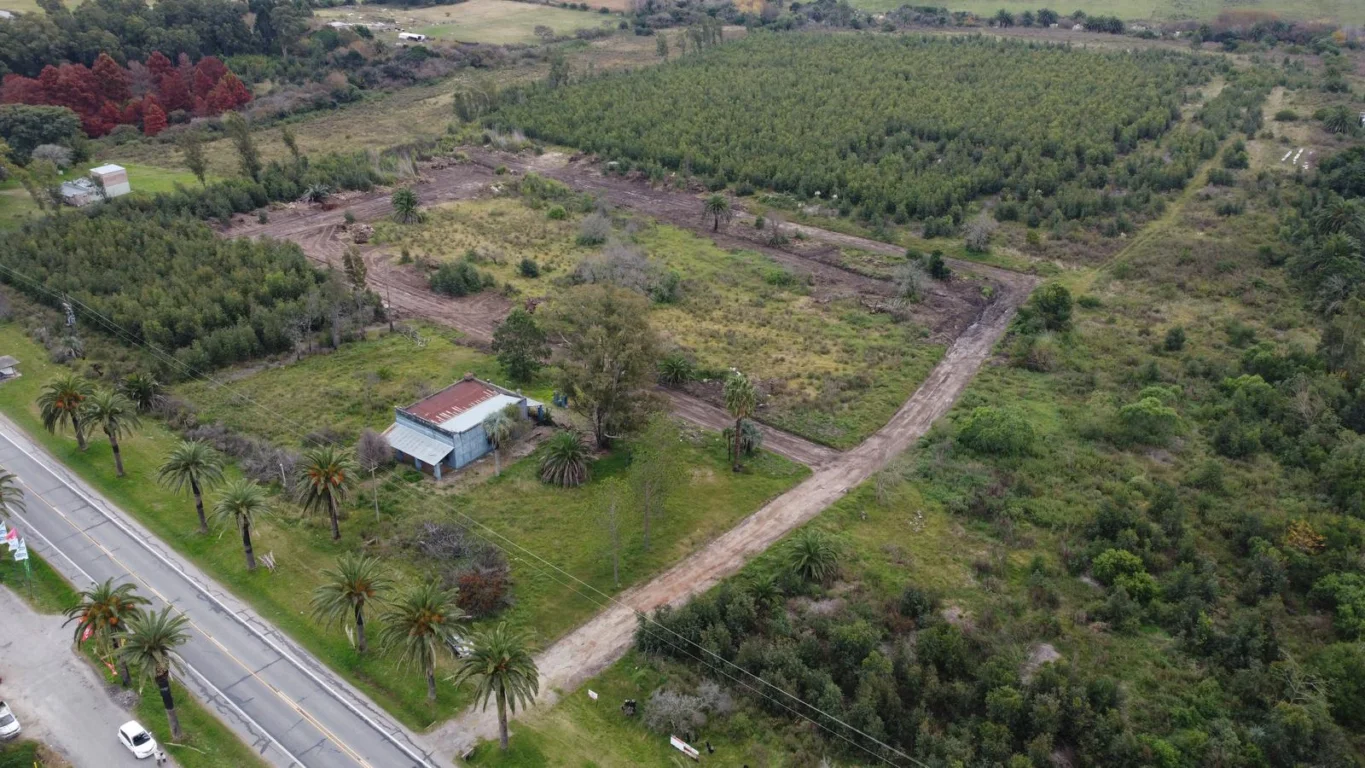 Terreno en Riachuelo, propiedad 258862 -Imagen 7
