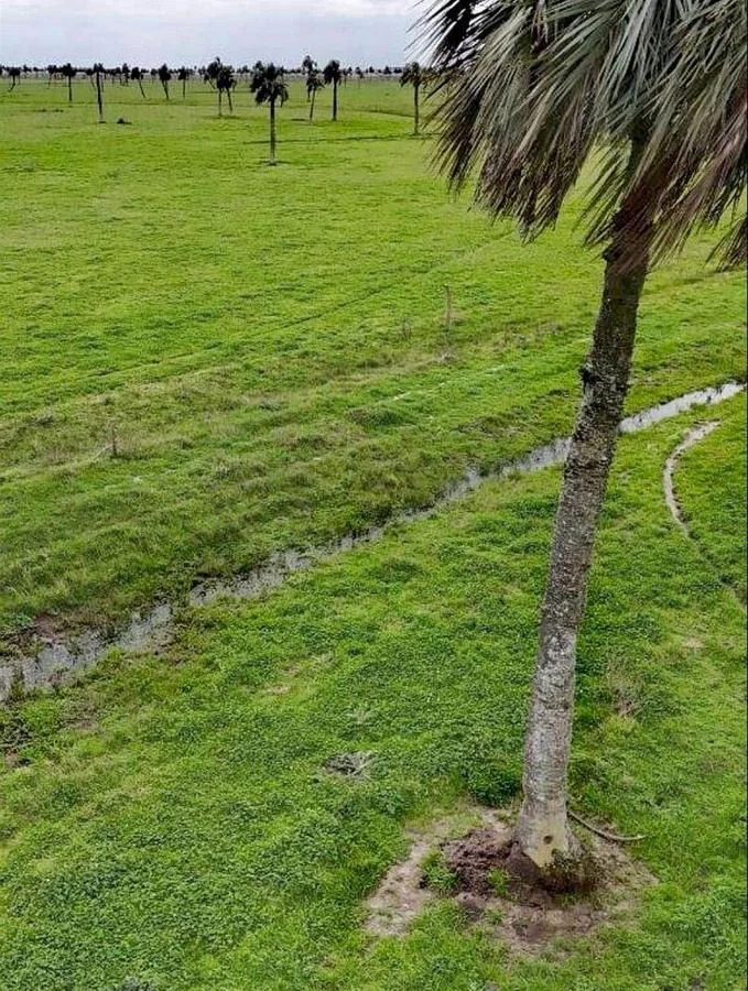 Chacra en Chuy, propiedad 258874 -Imagen 1