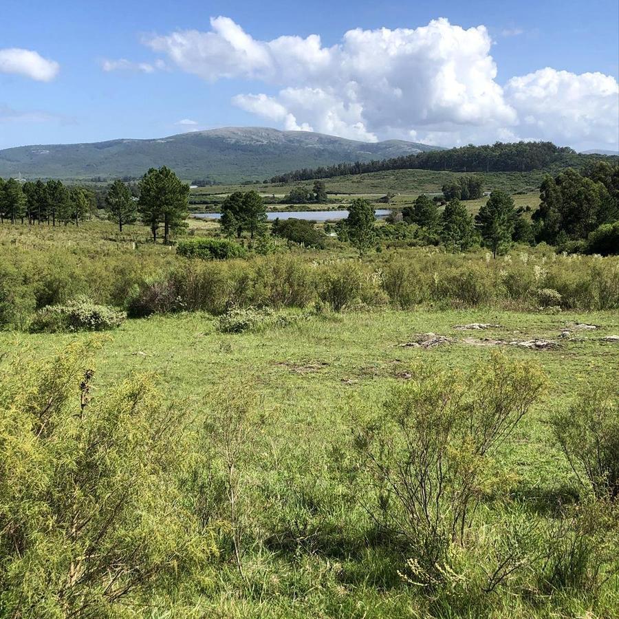 Chacra en Piriápolis, propiedad 258876 -Imagen 3