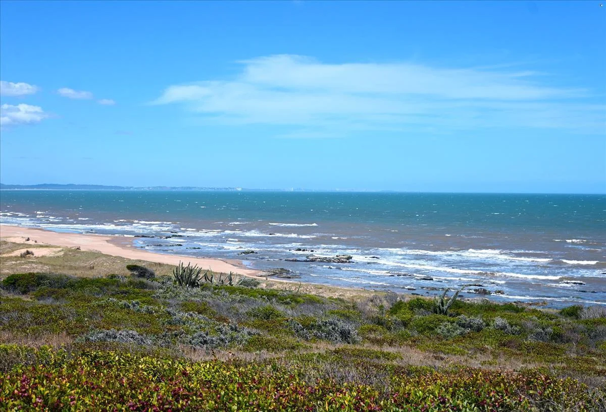 Chacra en Punta Colorada, propiedad 258895 -Imagen 11