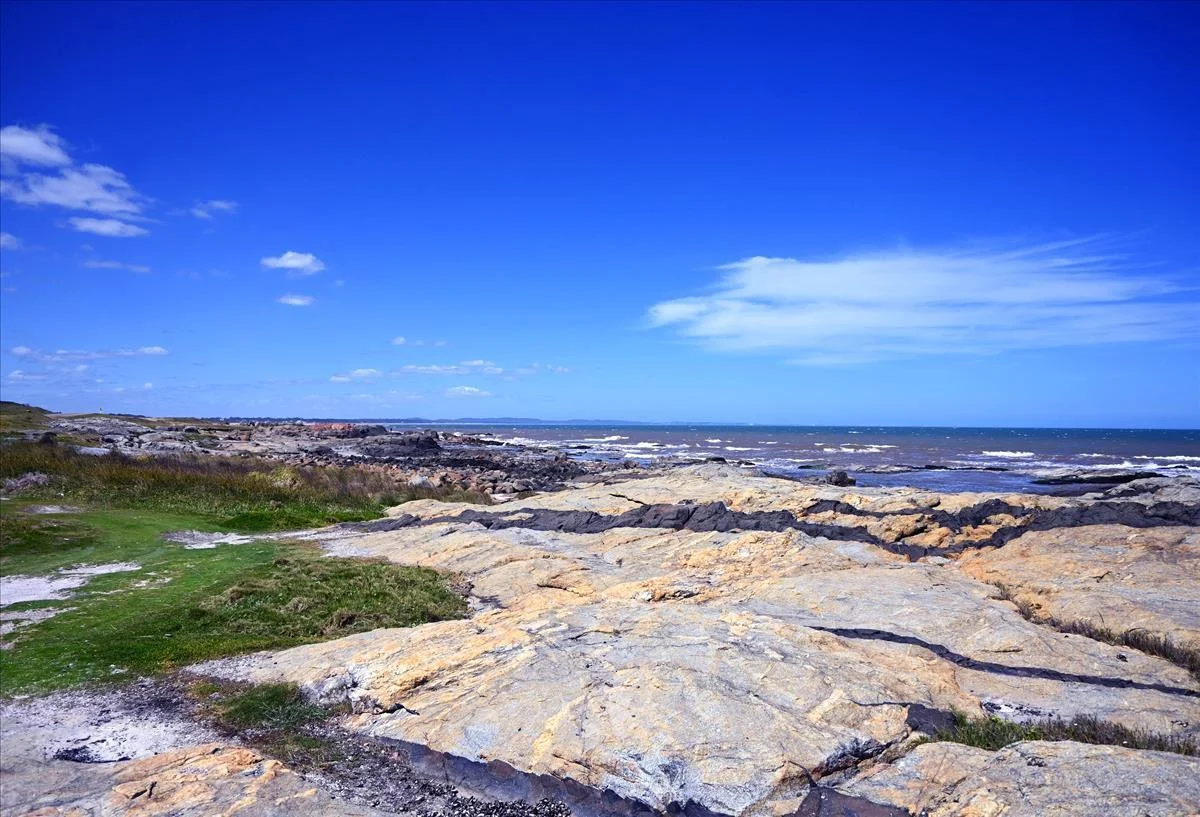 Chacra en Punta Colorada, propiedad 258895 -Imagen 12