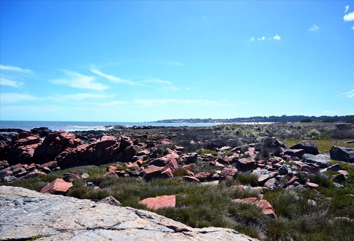 Chacra en Punta Colorada, propiedad 258895 -Imagen 13